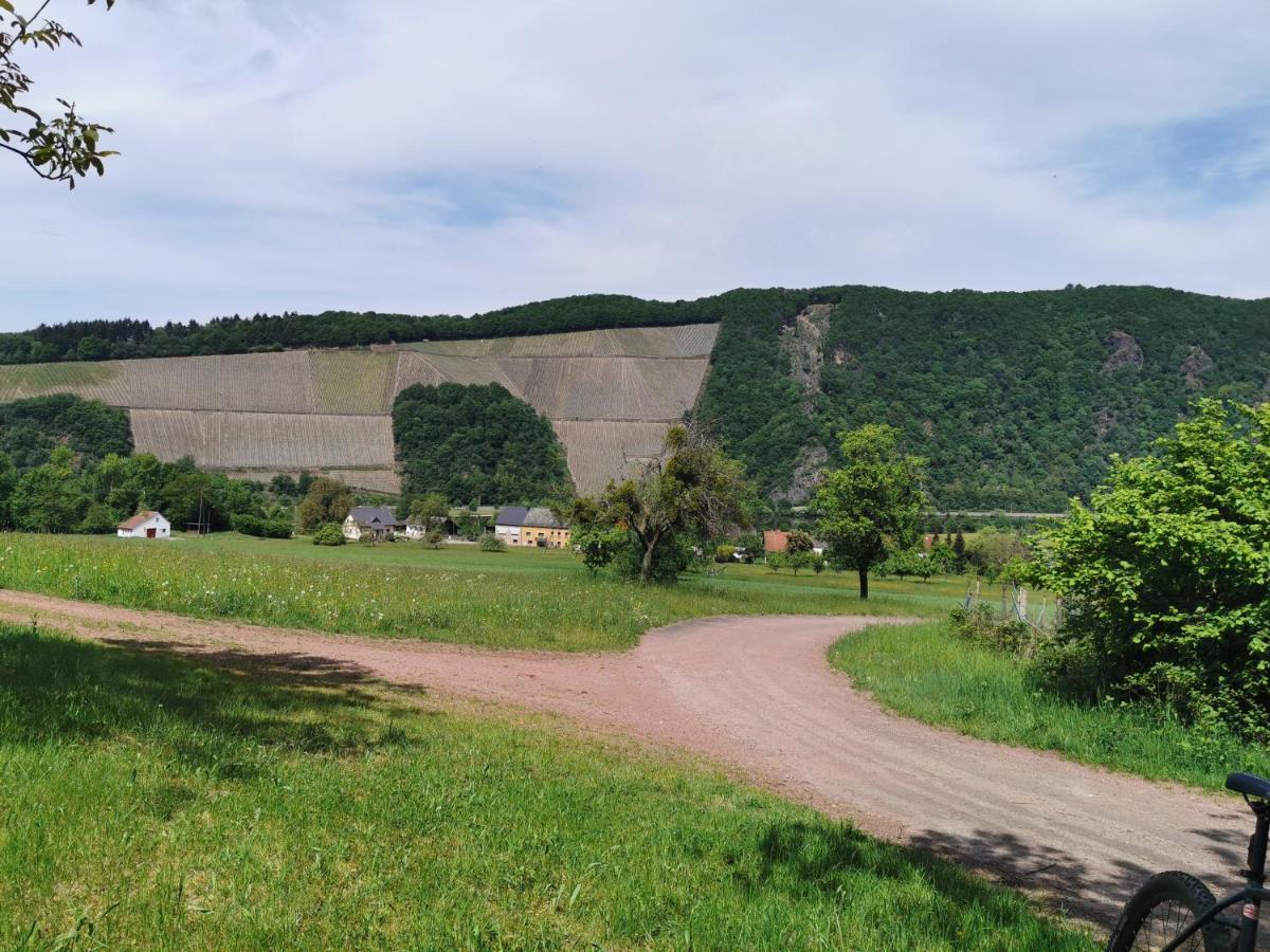 Gemuetliche 90 Qm Wohnung In Saarburg, Zentral Gelegen, Garten Mit Aussicht, Separater Eingang Zewnętrze zdjęcie